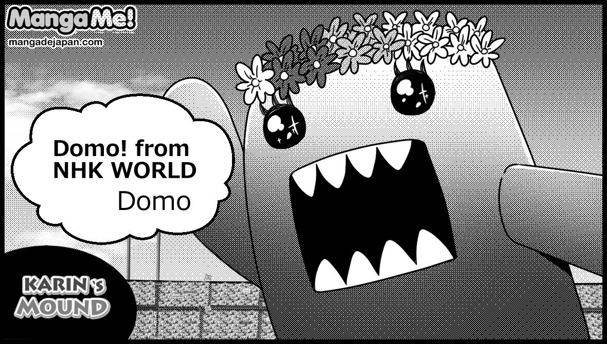 010-Domo.jpg