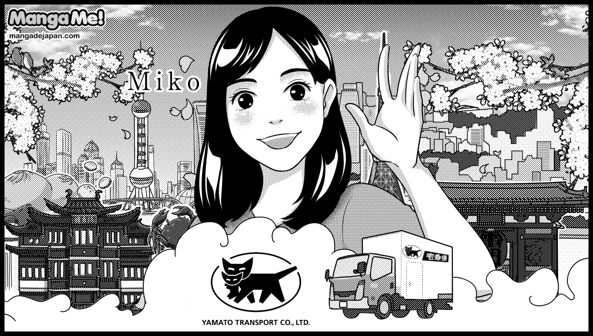 8-081